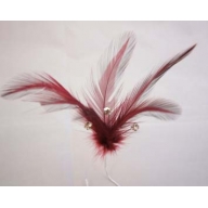 Pics cheveux sublissima plume...