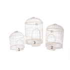 cage oiseaux 