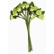 Sachet de 6 bouquets de 12 roses unies soit 72 fleurs. Disponible en 9 coloris