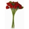 Sachet de 6 bouquets de 12 roses unies soit 72 fleurs. Disponible en 9 coloris
