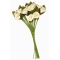 Sachet de 6 bouquets de 12 roses unies soit 72 fleurs. Disponible en 9 coloris