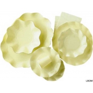 Assiettes carton plastifi&eacute;e...