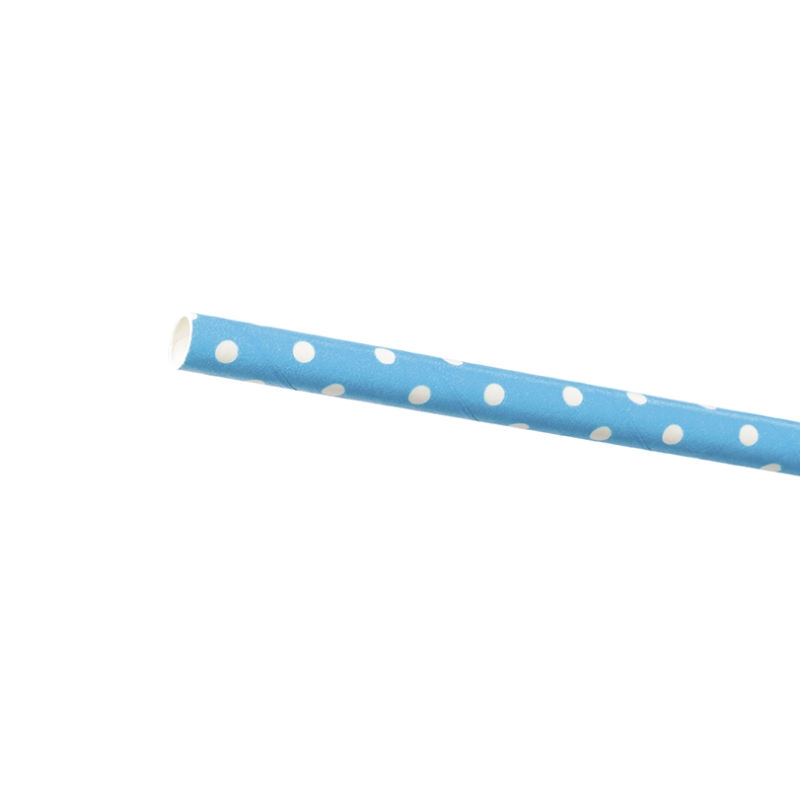 Paille Pois Blancs (x24)