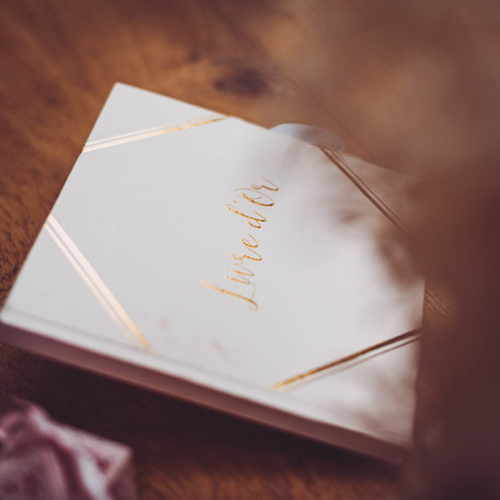 Livre d'or rose poudr� et or