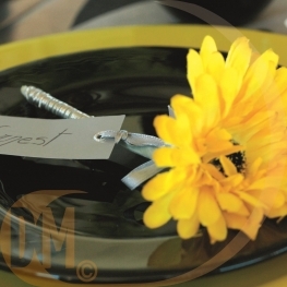 Marque place rectangle ruban