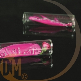 Eprouvette verre 5,10 et 15 cm